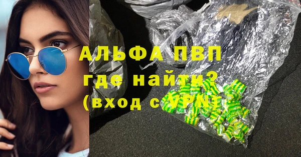 спиды Чекалин